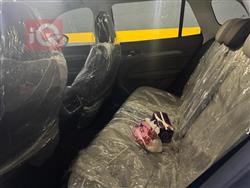 فورد تيريتوري